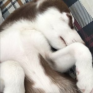 Meet your Posher, Marcelo